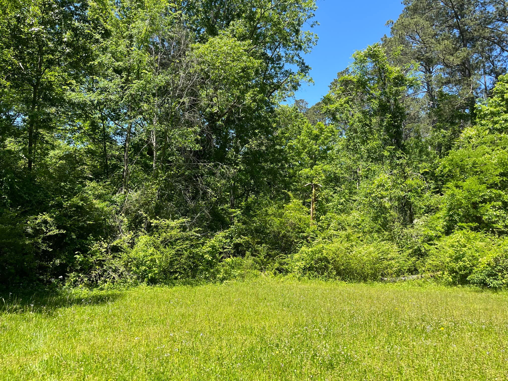 Custom landscape design and installation in Rome, Cartersville, and Northwest Georgia